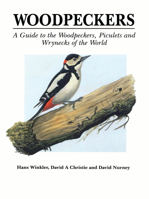 the study of the downie woodpeckers habitat and diet It wields a much longer bill than the downy woodpecker's almost thornlike bill more than 75% of the hairy woodpecker’s diet is made up of insects. the study of the downie woodpeckers habitat and diet It wields a much longer bill than the downy woodpecker's almost thornlike bill more than 75% of the hairy woodpecker’s diet is made up of insects.